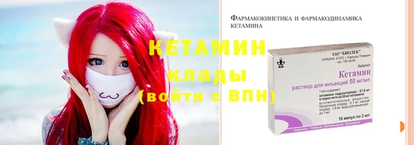 СК Инта