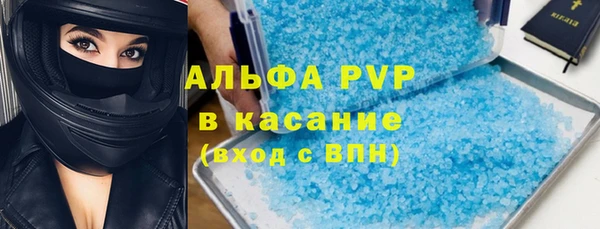 СК Инта