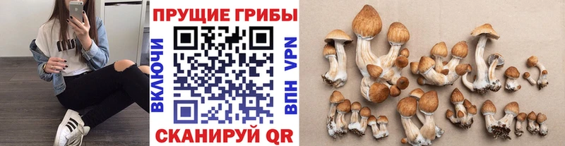 Галлюциногенные грибы мухоморы Домодедово